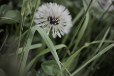 20130520_104.jpg