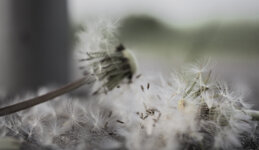 20130520_141.jpg