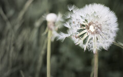 20130520_150.jpg
