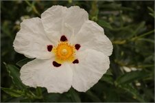 Web_IMG_0164.jpg