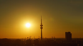 DSC02917.jpg