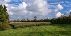 forumDSC_1794_DxO-2.jpg