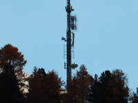 ZD300+EC-14_f8.0_Mast.jpg