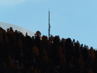 resized_Mast.jpg