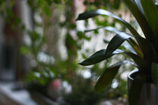 IMG_0984.jpg IMG_0984.jpg