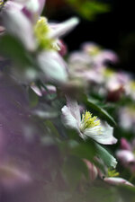 IMG_1022.jpg IMG_1022.jpg