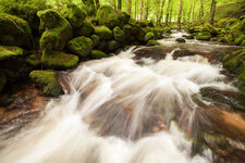 14-05-2013 Geroldsau 1.jpg