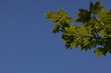 Test-2.jpg