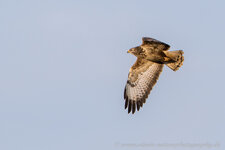 4S2A0986-1-2.jpg 4S2A0986-1-2.jpg