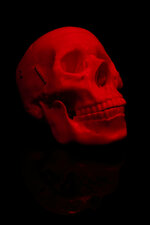 Schädel in Rot.jpg