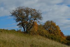 DSCF2042.jpg