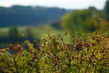 DSCF2057.jpg