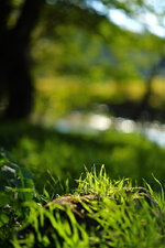 DSCF2088.jpg