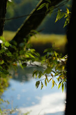 DSCF2089.jpg