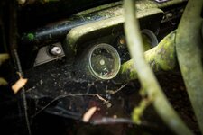 _IMG_7754.jpg