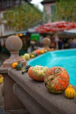 Bauernmarkt_Neustadt_7475_DxO.jpg