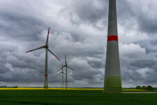 Diana_Wind_DSC8305.jpg