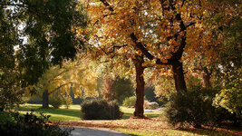 DSCN0512.jpg