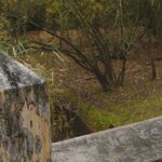 DSC07411_nr_crop.jpg
