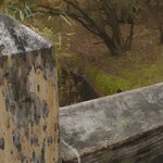 DSC07411.jpg