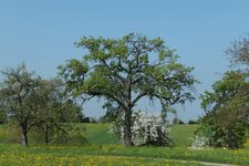 F770EXR_90.jpg