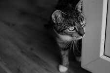 20130506_34kleiner.jpg