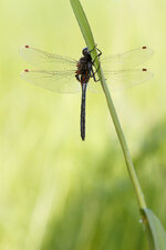 20130519-IMG_8563.jpg