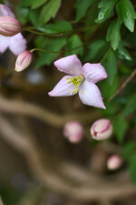 IMG_0953.jpg IMG_0953.jpg