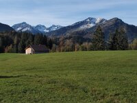 PA170010-oly3.jpg