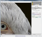 CAs-mit-klick.jpg