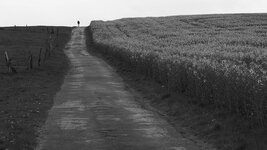 1-E-M10-6.jpg