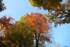 Herbst_Oktober_15_7094.jpg