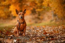comp_IMG_2906-Bearbeitet-Bearbeitet.jpg