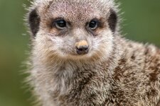 compIMG_7725.jpg