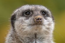 compIMG_7741.jpg