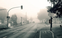nebel_mueggelheimer_1582forum.jpg