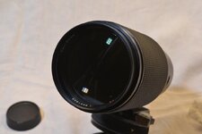 DSC_7767.jpg