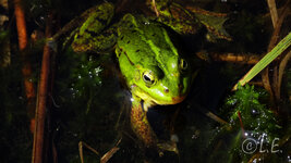 HX300_Test_007.jpg