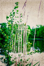 2013-05-24 17-28-14 - GEKO5142-Bearbeitet.JPG