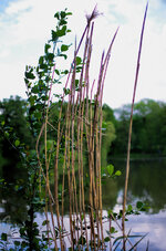 2013-05-24 17-28-25 - GEKO5143-Bearbeitet-2.JPG