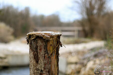 7DM28361-2.jpg