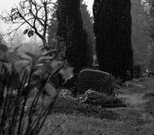 comp_60mm2015-11-25_2085_bearbeitet.jpg
