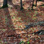 k_DSC_6571_c.jpg