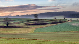 849A5708-2.jpg