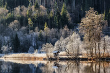 849A5454.jpg 849A5454.jpg