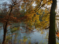 R0010357bk.jpg
