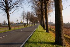 herbst im münsterland.jpg