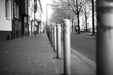 _MG_5085.jpg