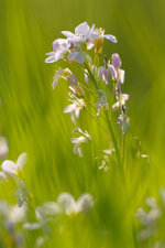 20130506-IMG_6801.jpg