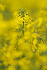 20130510-IMG_7477.jpg